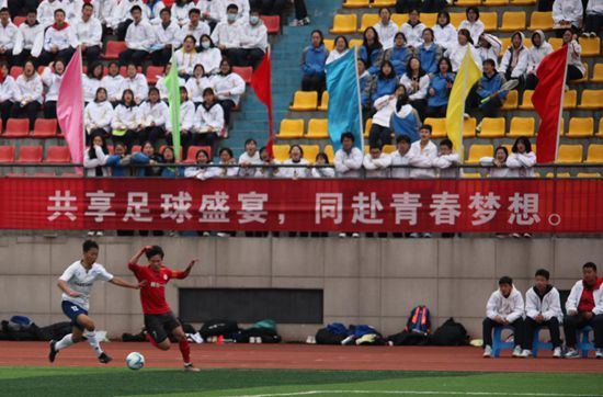 果冻传媒何苗视频合集下载