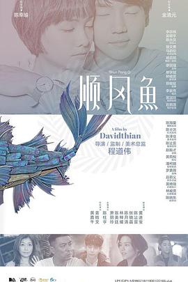 爱罗导演的良心告白