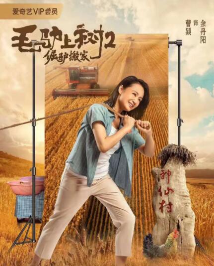 阿v小次郎