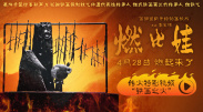 欧美日韩视频一区二区在线观看