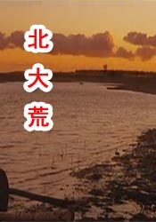 国产视频a区