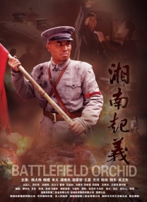 这个软件很奇妙2020