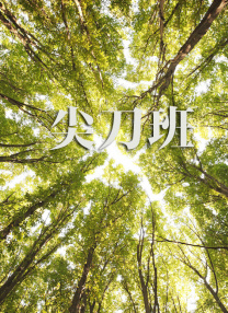 精品av一区二区