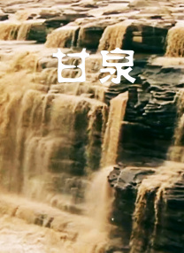 夫人家的琪琪