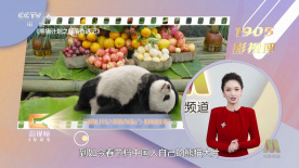 免费观看成人www精品视频在线